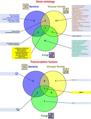 Variability of plant transcriptomic responses under stress acclimation: a review from high throughput studies